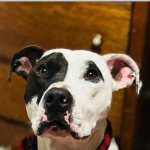 Meet your Posher, Deborah